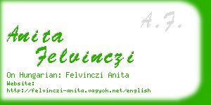 anita felvinczi business card